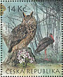 Eurasian Eagle-Owl Bubo bubo