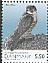 Peregrine Falcon Falco peregrinus  2009 Denmarks nature Booklet