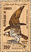 Western Osprey Pandion haliaetus  1985 Audubon  MS
