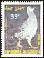 Djibouti Spurfowl Pternistis ochropectus  1989 Birds 