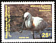 Eurasian Spoonbill Platalea leucorodia  1991 Birds 
