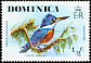 Ringed Kingfisher Megaceryle torquata  1976 Wild birds 