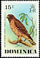 Broad-winged Hawk Buteo platypterus  1976 Wild birds 