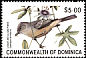 Lesser Antillean Flycatcher Myiarchus oberi