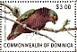 Imperial Amazon Amazona imperialis  1981 Birds  MS