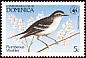 Plumbeous Warbler Setophaga plumbea  1984 WWF 