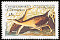 King Rail Rallus elegans  1985 Audubon 