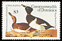 Ring-necked Duck Aythya collaris  1985 Audubon 
