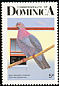 Scaly-naped Pigeon Patagioenas squamosa  1987 Birds of Dominica p 15