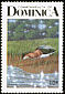 Green Heron Butorides virescens  1987 Birds of Dominica p 15