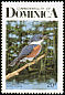 Ringed Kingfisher Megaceryle torquata  1987 Birds of Dominica p 15
