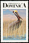 Brown Pelican Pelecanus occidentalis  1987 Birds of Dominica p 15