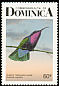 Purple-throated Carib Eulampis jugularis  1987 Birds of Dominica p 15