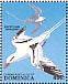White-tailed Tropicbird Phaethon lepturus  1988 Dominica rain forest 20v sheet