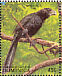 Smooth-billed Ani Crotophaga ani  1988 Dominica rain forest 20v sheet
