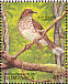 Scaly-breasted Thrasher Allenia fusca  1988 Dominica rain forest 20v sheet