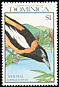 Venezuelan Troupial Icterus icterus  1990 Birds 