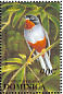 Rufous-throated Solitaire Myadestes genibarbis  1993 Birds Sheet
