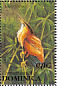 Least Bittern Ixobrychus exilis  1993 Birds Sheet