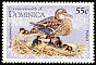 Mallard Anas platyrhynchos  1995 Birds 