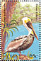 Brown Pelican Pelecanus occidentalis  1995 Birds Sheet