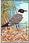 Laughing Gull Leucophaeus atricilla  1995 Birds Sheet