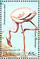 American Flamingo Phoenicopterus ruber  1995 Birds Sheet