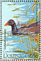 Common Gallinule Gallinula galeata  1995 Birds Sheet