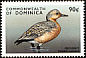 Red Knot Calidris canutus  1998 Seabirds of the world 