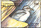 Fairy Prion Pachyptila turtur  1998 Seabirds of the world Sheet
