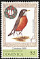 American Robin Turdus migratorius  1999 Christmas 