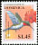 Ruby-throated Hummingbird Archilochus colubris  2001 Bird definitives 