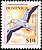 Red-footed Booby Sula sula  2001 Bird definitives 