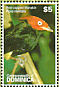 Red-capped Manakin Ceratopipra mentalis  2007 Birds  MS