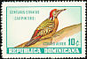 Hispaniolan Woodpecker Melanerpes striatus  1964 Dominican birds 