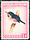 Narrow-billed Tody Todus angustirostris  1964 Dominican birds 