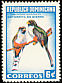Hispaniolan Trogon Priotelus roseigaster  1964 Dominican birds 