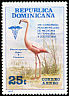 American Flamingo Phoenicopterus ruber