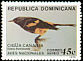 Hispaniolan Oriole Icterus dominicensis  1979 Birds 