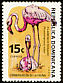 American Flamingo Phoenicopterus ruber