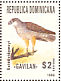 Ridgway's Hawk Buteo ridgwayi  1996 Endemic birds Sheet