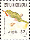 Narrow-billed Tody Todus angustirostris