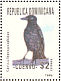 White-necked Crow  Corvus leucognaphalus