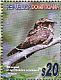 Hispaniolan Nightjar Antrostomus ekmani  2012 Endemic birds Sheet