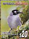 Black-crowned Tanager Phaenicophilus palmarum  2012 Endemic birds Sheet