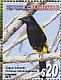 Hispaniolan Oriole Icterus dominicensis  2012 Endemic birds Sheet