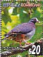 White-fronted Quail-Dove Geotrygon leucometopia  2012 Endemic birds Sheet