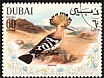 Eurasian Hoopoe Upupa epops  1968 Arabian Gulf birds 
