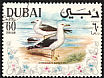 Heuglin's Gull Larus heuglini  1968 Arabian Gulf birds 