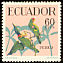 Cordilleran Parakeet Psittacara frontatus  1959 Tropical birds 